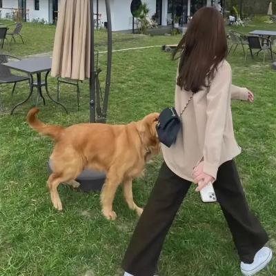 打击惊魂