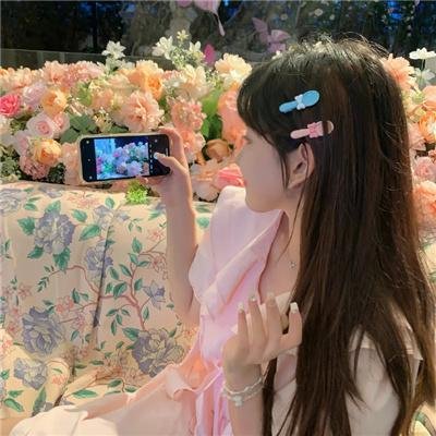 山菊花
